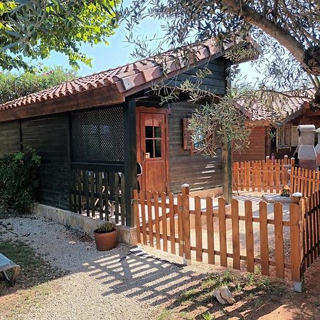 Entre Viejos Olivos Villa Benicolet Ngoại thất bức ảnh
