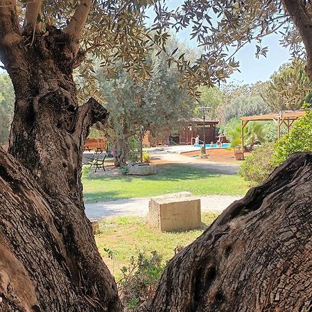 Entre Viejos Olivos Villa Benicolet Ngoại thất bức ảnh