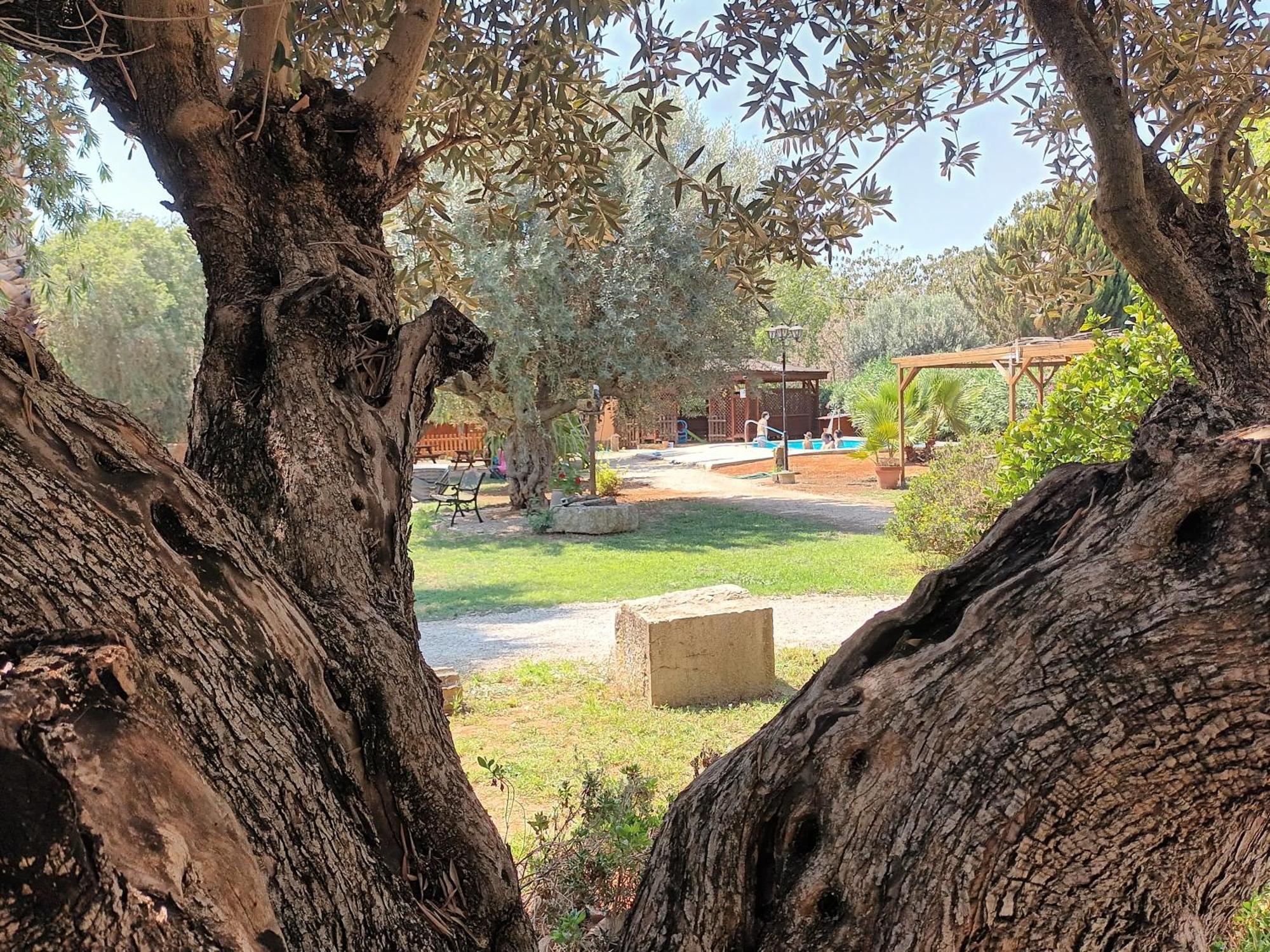 Entre Viejos Olivos Villa Benicolet Ngoại thất bức ảnh