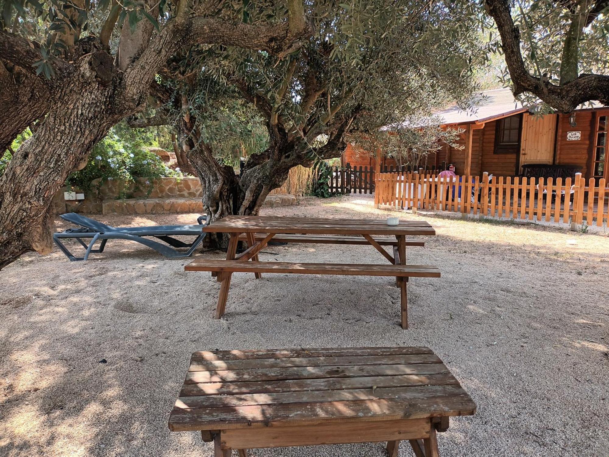 Entre Viejos Olivos Villa Benicolet Ngoại thất bức ảnh
