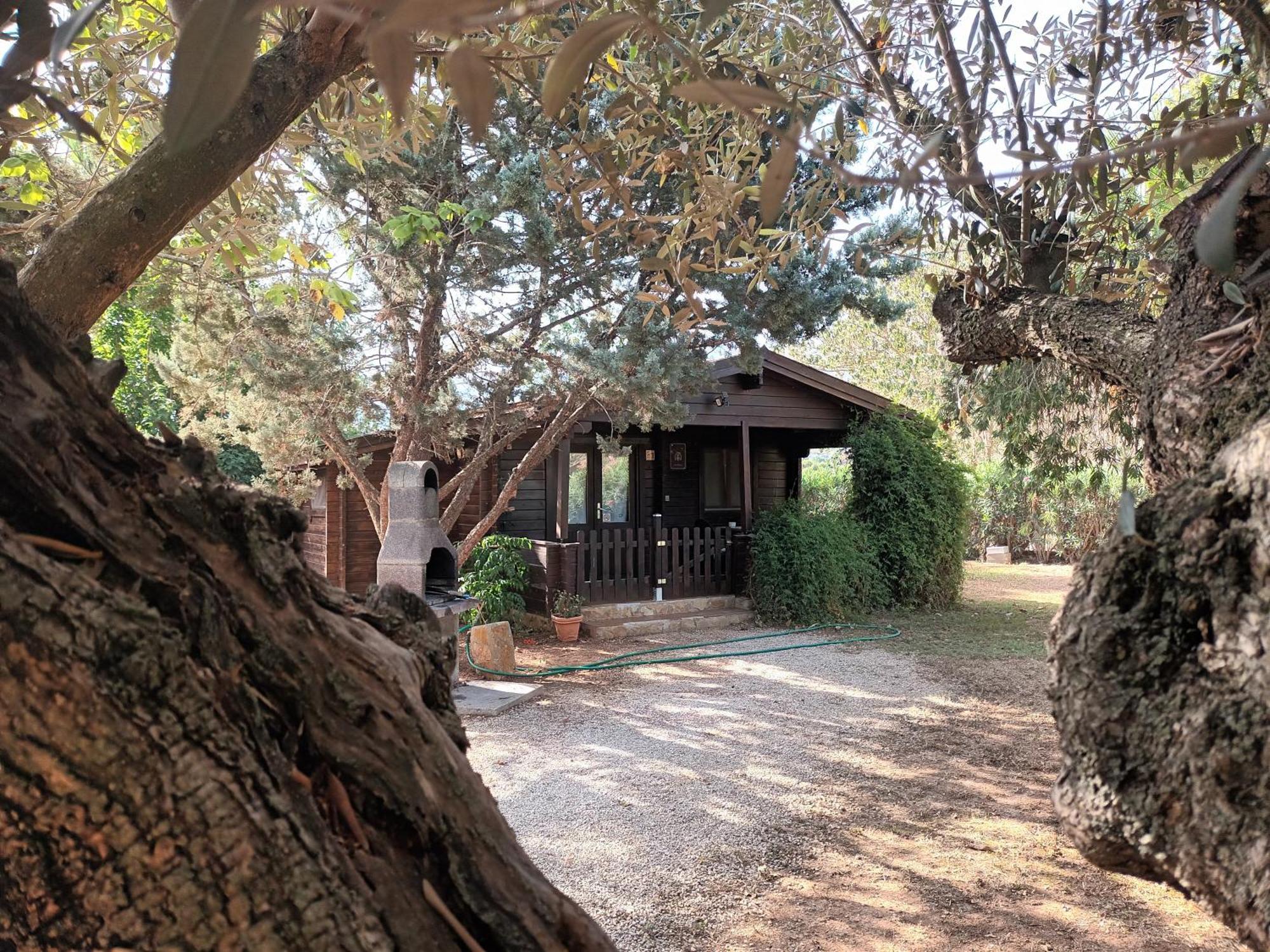 Entre Viejos Olivos Villa Benicolet Ngoại thất bức ảnh