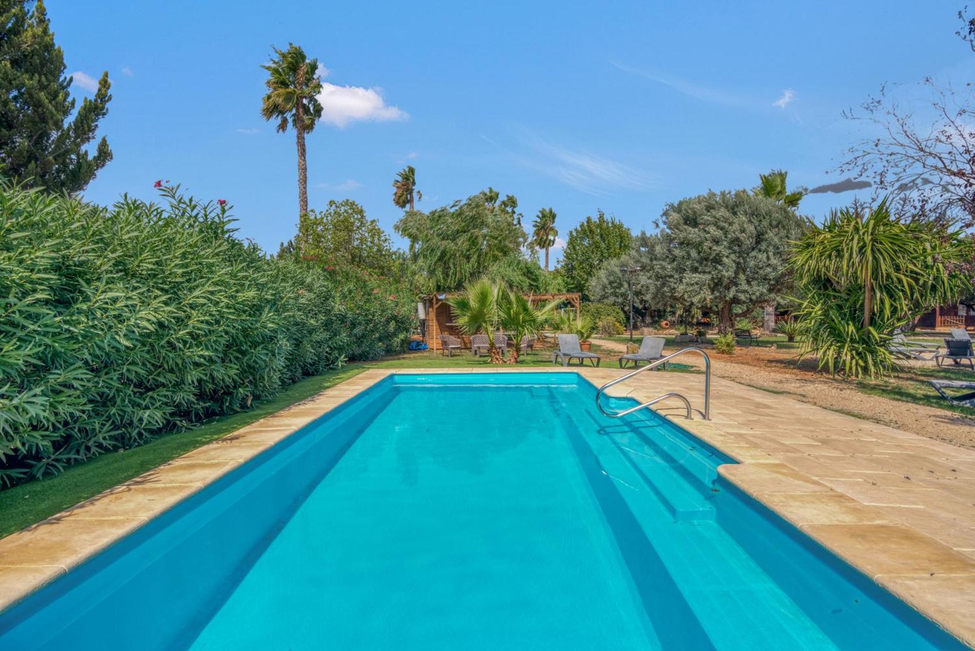 Entre Viejos Olivos Villa Benicolet Ngoại thất bức ảnh