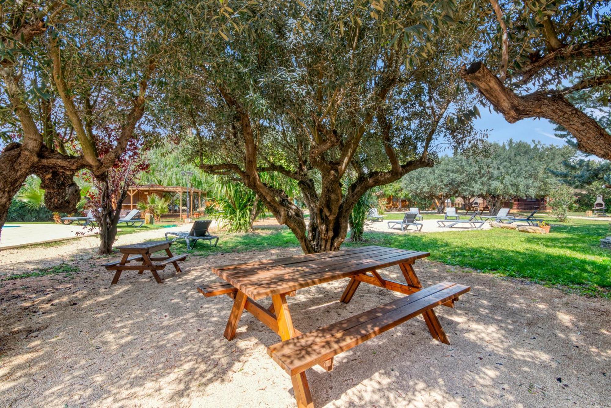 Entre Viejos Olivos Villa Benicolet Ngoại thất bức ảnh